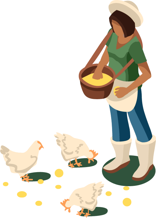 graphic of person feeding chickens