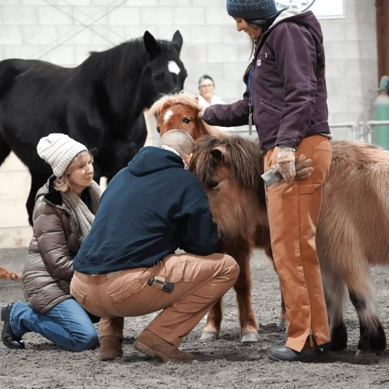 people kneeling and petting horses