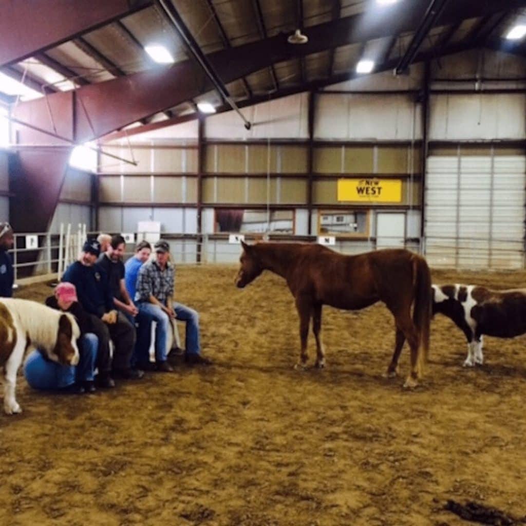 a group of people seated with horses standing nearby